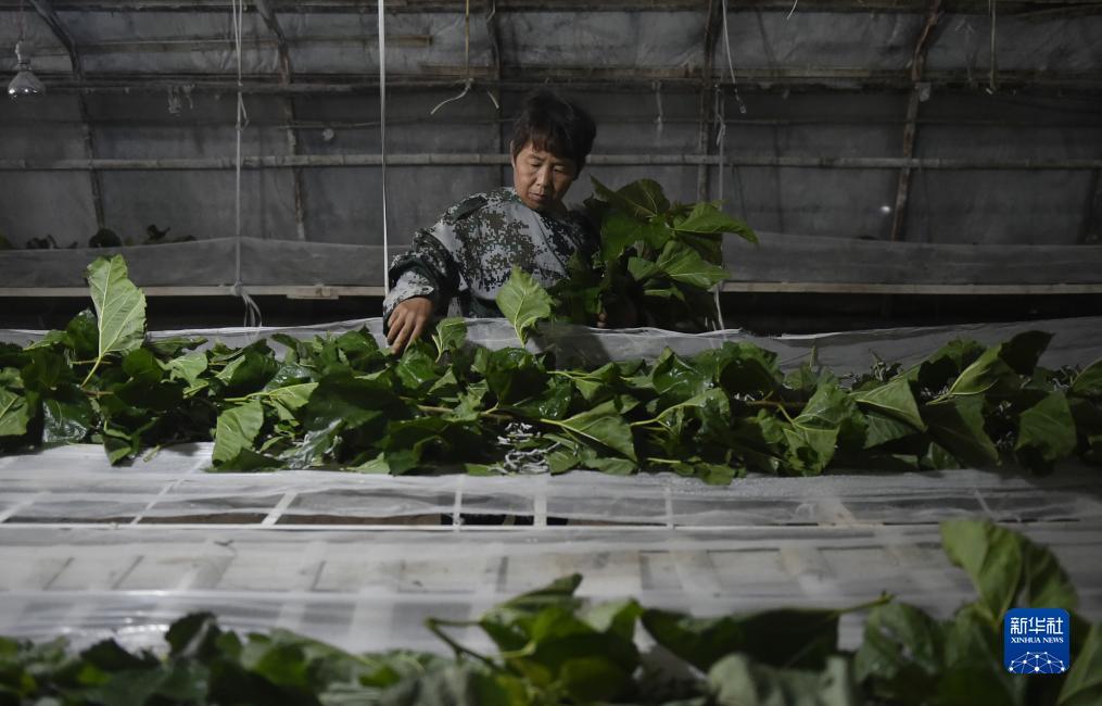 棋牌游戏网页版源码